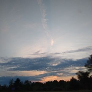 Meet your Posher, Cailey